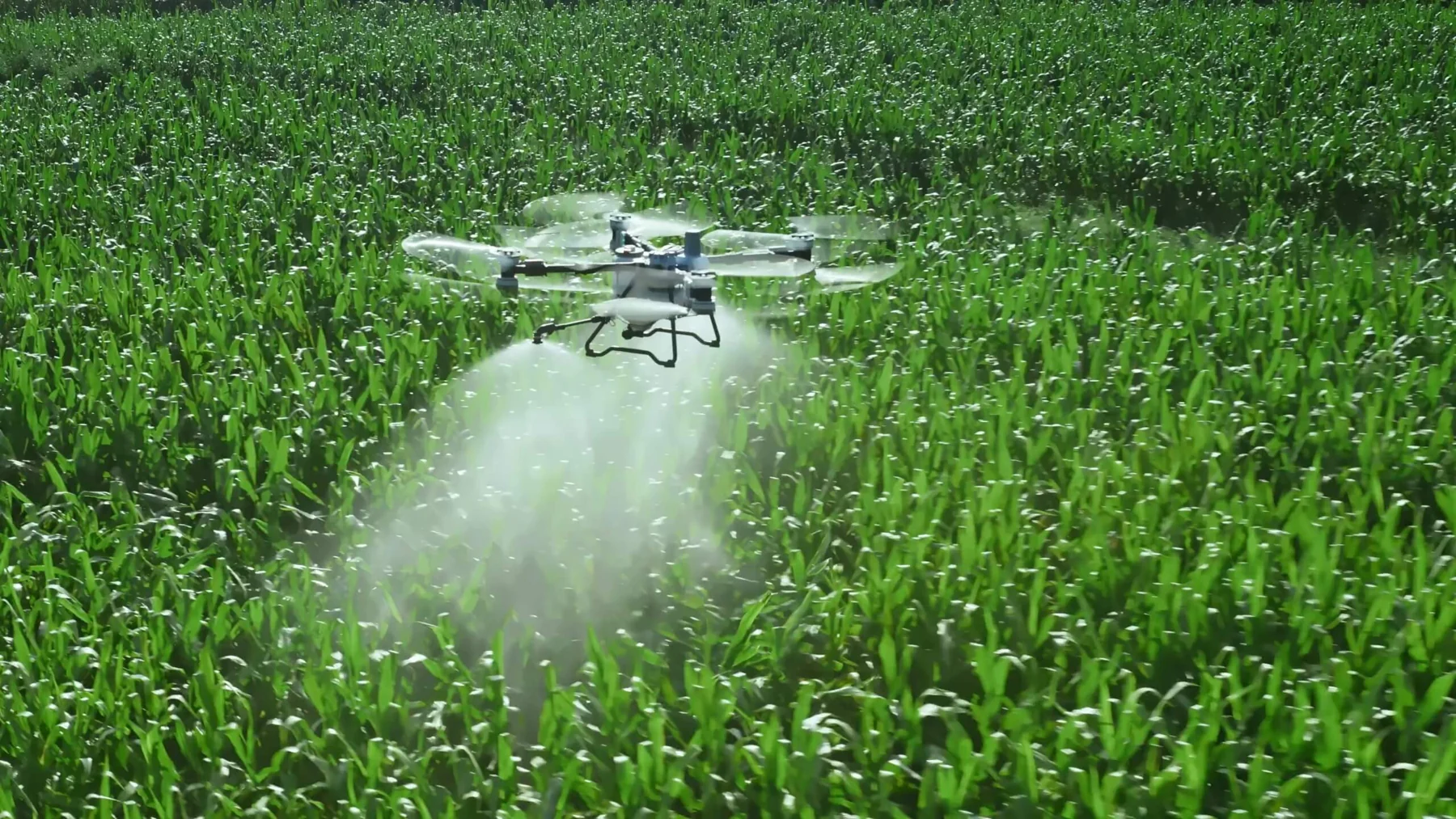 DJI AGRAS T100 agricultural spraying drone